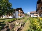 Bärlapp Dachgeschoss