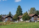 Ehrenpreis Erdgeschoss