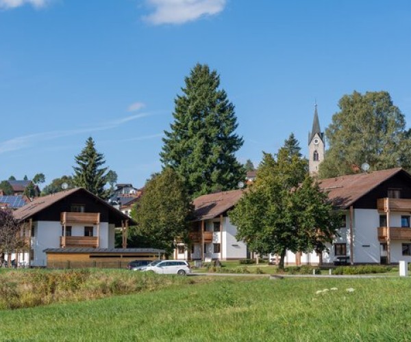 Ehrenpreis Erdgeschoss