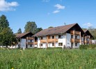 Rittersporn Dachgeschoss