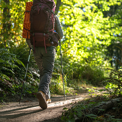 Wanderurlaub im Bayerischen Wald